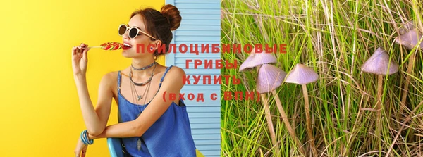 скорость Лагань