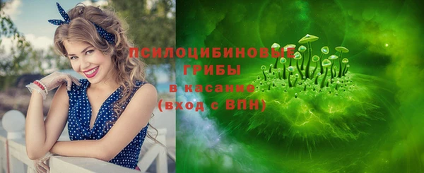 прущая мука Алзамай