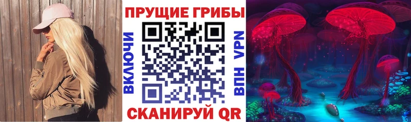 omg зеркало  Рубцовск  Галлюциногенные грибы мицелий 